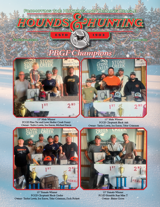 Champions, tributes & holiday spirit December Hounds & Hunting is a must-read! 🎄 #Beagling #HoundsAndHuntin
