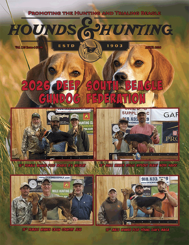 April 2026 Deep South Gundog Federation full coverage • Christian Beagler column: When the Right Dog Finally Shows Up