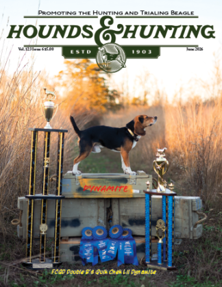 Cover of the June 2026 Hounds & Hunting magazine showing FCGD Double Bās Quik Chek Lil Dynamite, a fieldātrial champion beagle, with the magazineās title and issue information.